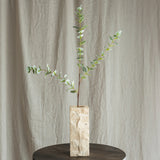 Eukalyptus Blade - Støvet Grøn