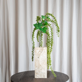 Amaranthus Caudatus Blomst - Grøn