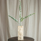 Eucalyptus Leaves "Silver Dollar"