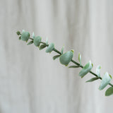 Eucalyptus Leaves "Silver Dollar"