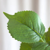 Hortensia Blade
