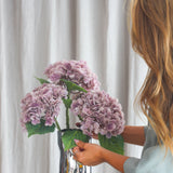 Hortensia Blomst - Lilla