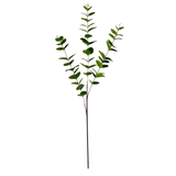 Eukalyptus Blade