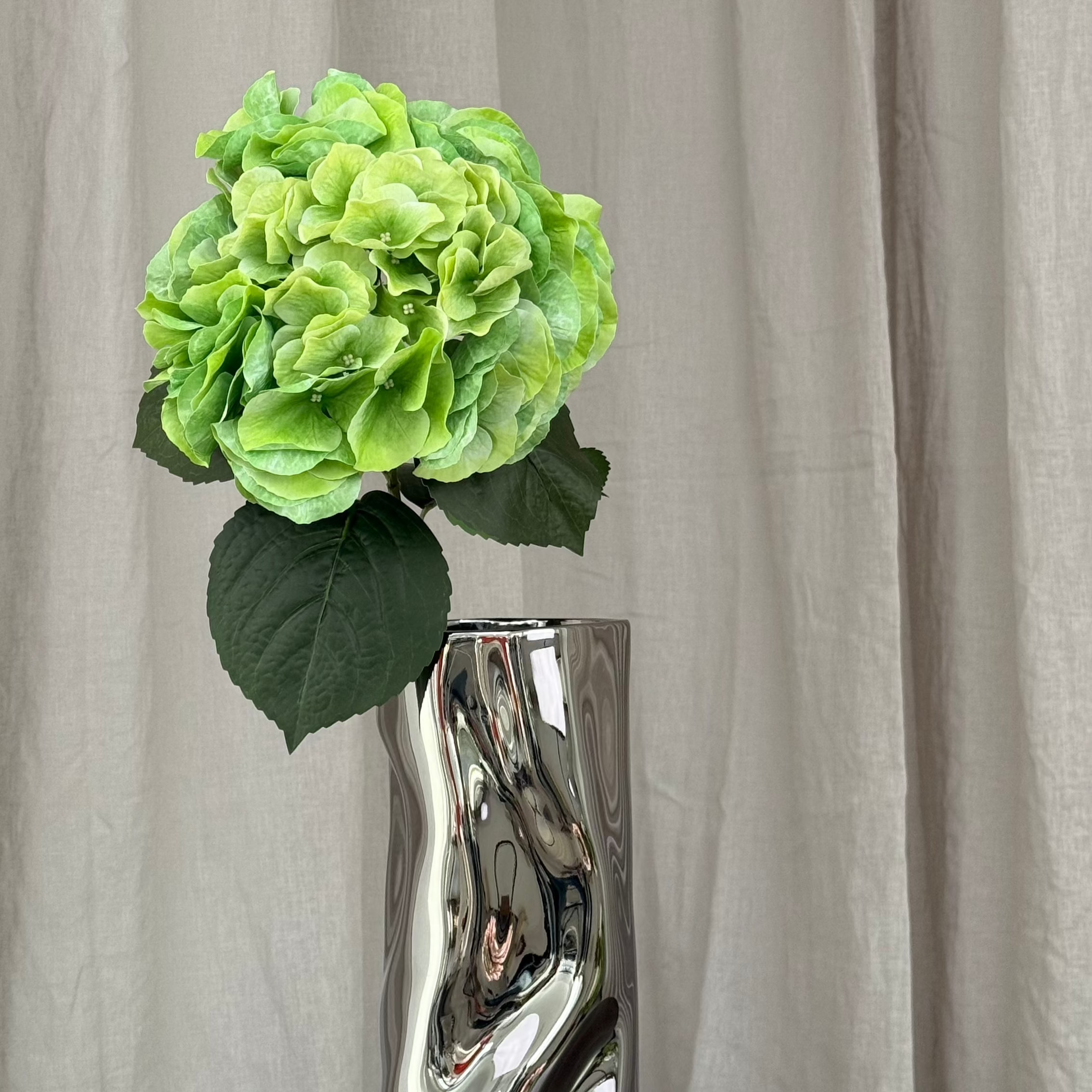 Hortensia
