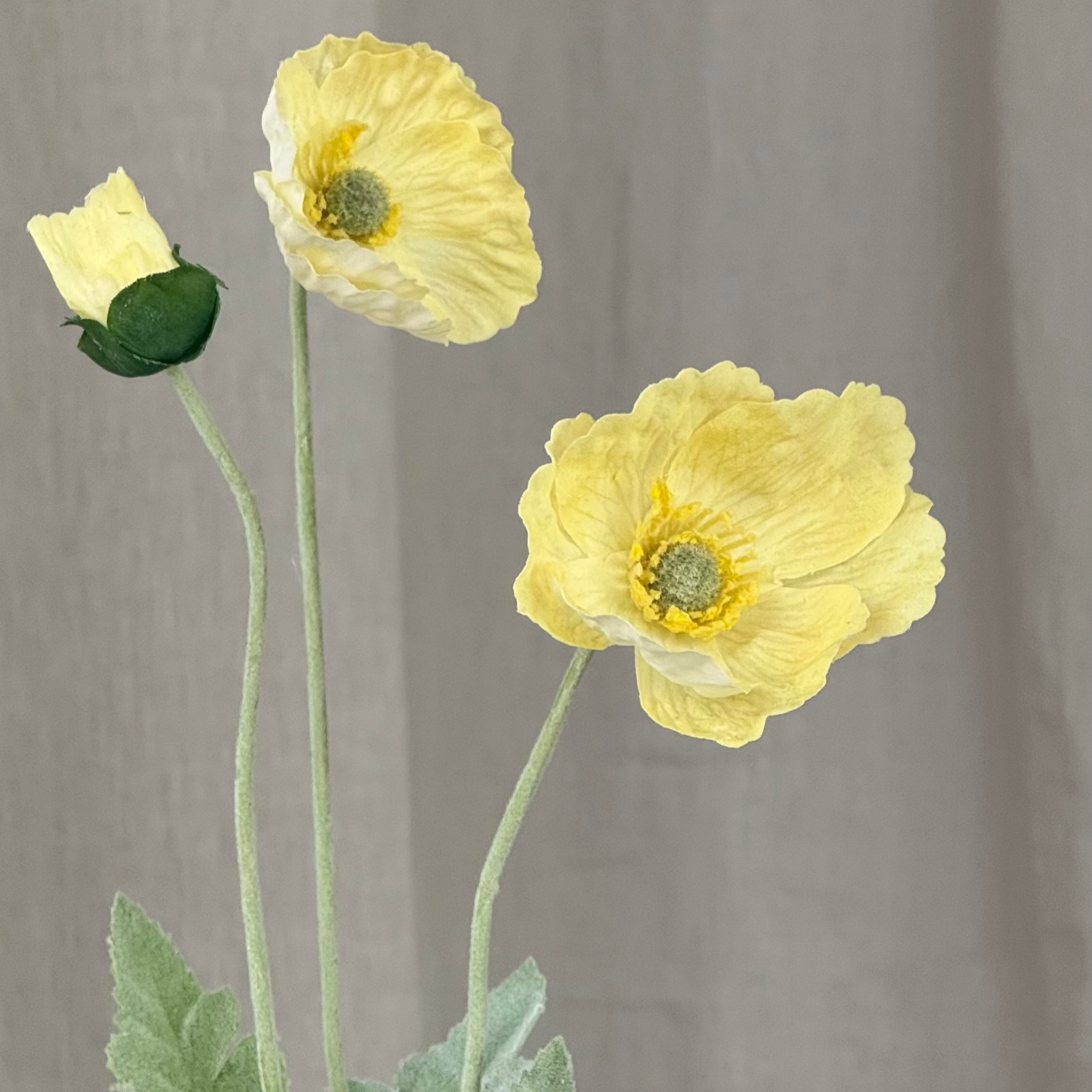 Gule Blomster