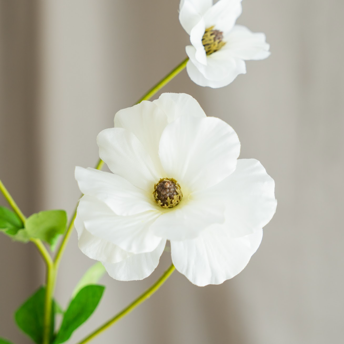 Hvide Blomster