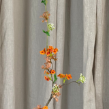 Sne Pilegren - Orange