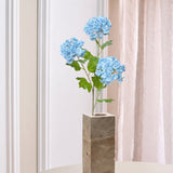 3-hovedet Hortensia "Snowball"