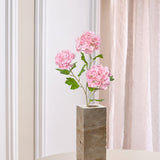 3-hovedet Hortensia "Snowball" - Lyserød