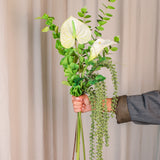 Fresh Linen Mix