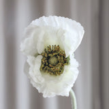 Valmue "Opium" - Hvid