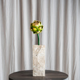 Artiskok Blomst