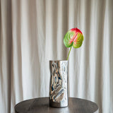 Anthurium - Grøn/Pink