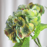 Stor Vintage Hortensia - Støvet Grøm