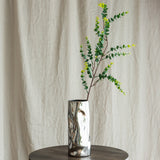 Eucalyptus "Money" Branch