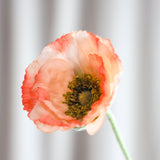 Valmue "Opium" - Koral