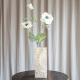 Anemone Blomst