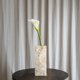 Calla Lilje Blomst