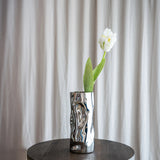 Papegøje Tulipan