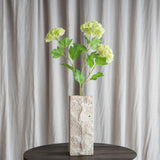 3 Hovedet Hortensia "Snowball" - Hvid/Grøn