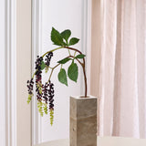 Amaranthus Bærgren – Bordeaux