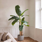 Naturtro Kunstig Bananpalme (180 cm)