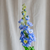 Ridderspore Blomst - Lilla