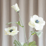 Anemone Blomst