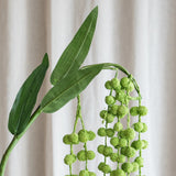 Amaranthus "Lover's Tear" Blomst