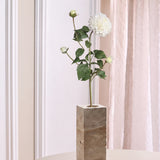 Dahlia Stem - White