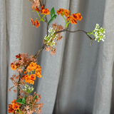 Sne Pilegren - Orange