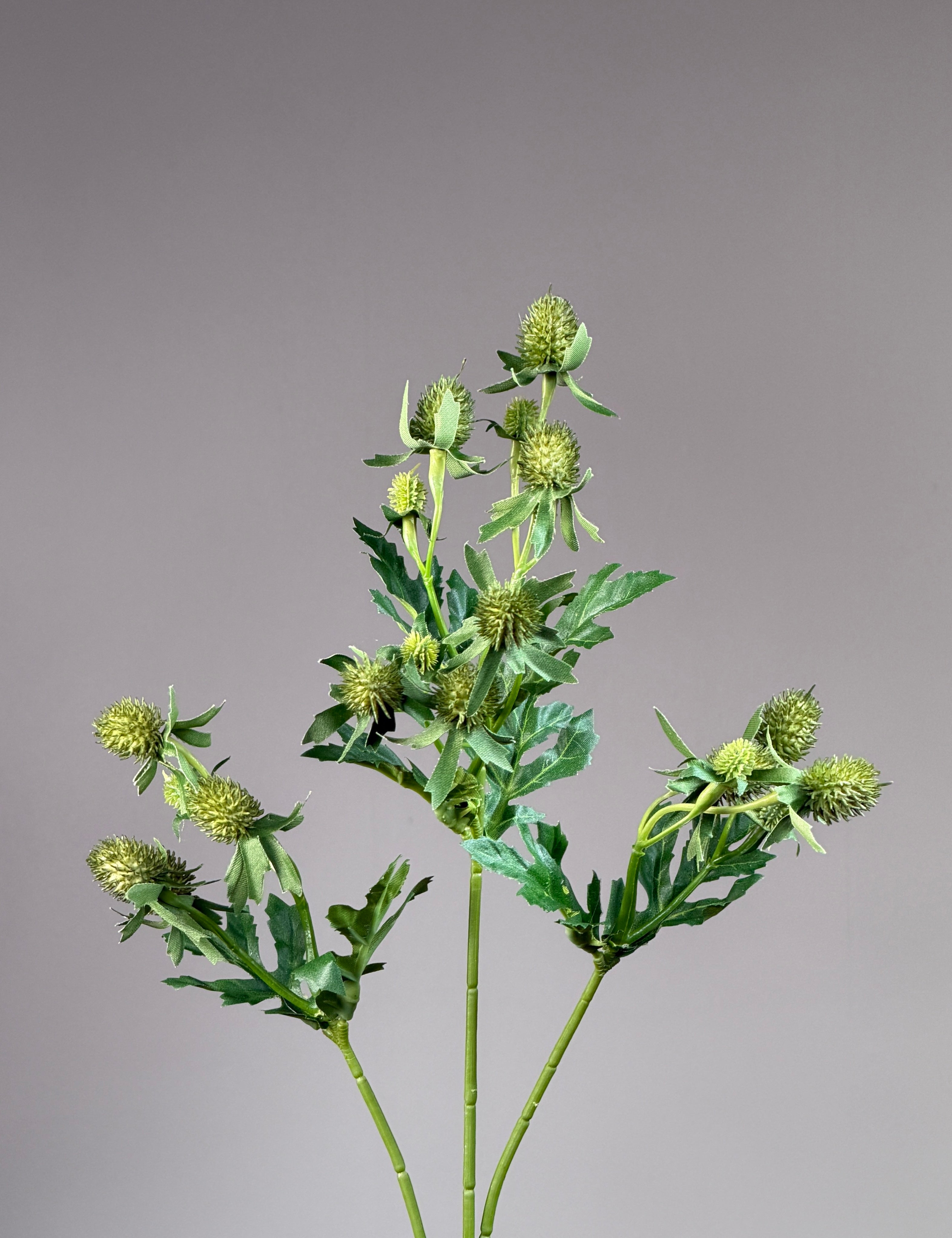 Tidsel Stilk - Grøn
