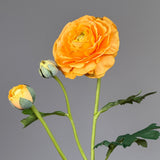 Luksus Ranunkel "Real Touch" – Orange