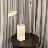 Flamingo Anthurium - Hvid/Grøn