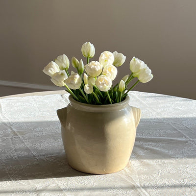 Tulipaner