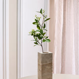 "Ilex" Bærgren – Grøn