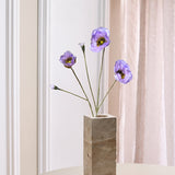 Valmue "Opium" - Lavendel