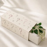 Mystery Box – Hvid
