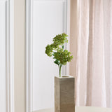 Sedum Bær-stilk - Lyserød