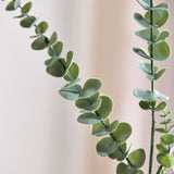 Eukalyptus Blade "Baby Blue"