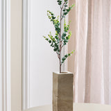 Eucalyptus "Money" Branch