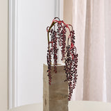 Amaranthus Succulent - Bordeaux