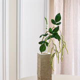 Løv Amaranthus med 2 grene - Hvid