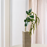 Løv Amaranthus med 2 grene - Mørkegrøn