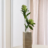 Skimmia Bærgren - Grøn