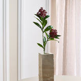 Skimmia Bærgren - Bordeaux 