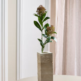 Skimmia Bærgren - Grøn/Bordeaux