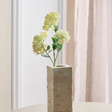 Sedum Bær-stilk - Hvid