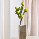 Citrongren – med citroner 