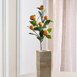 Orangegren – med mandariner